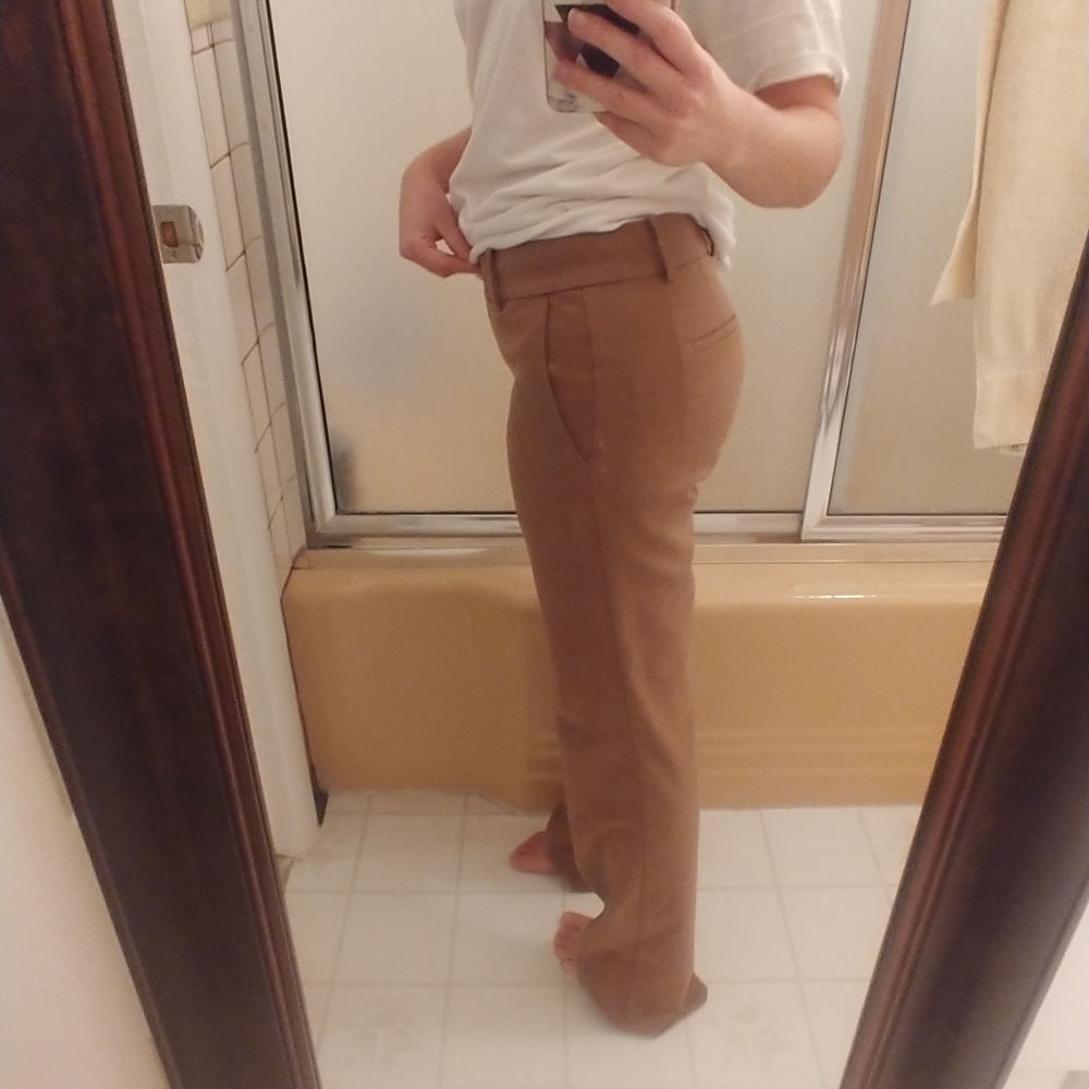 Ann Taylor Devin fit